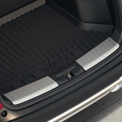 Tail Gate Entry Guard