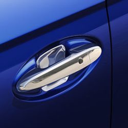 Door Handle Protector