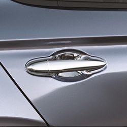 Door Handle Protector