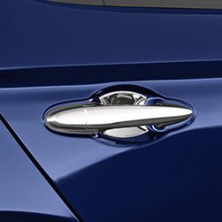 Door Handle Protector