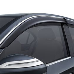 Door Visor with Chrome