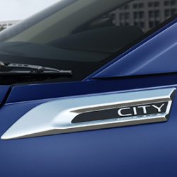 Front Fender Garnish