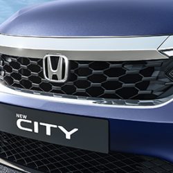 Front Grille Garnish